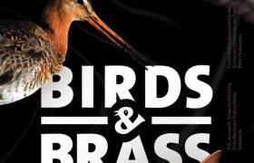 Birds & Brass