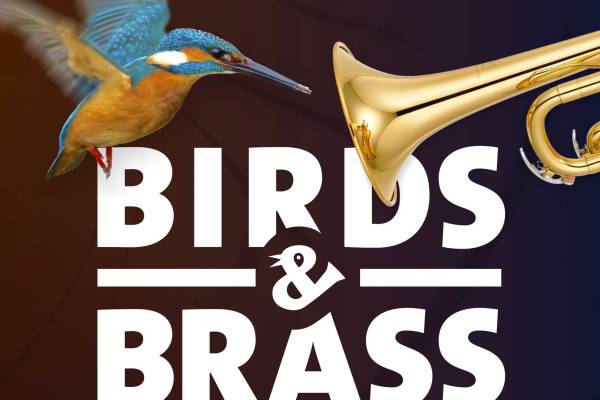 Birds & Brass 3